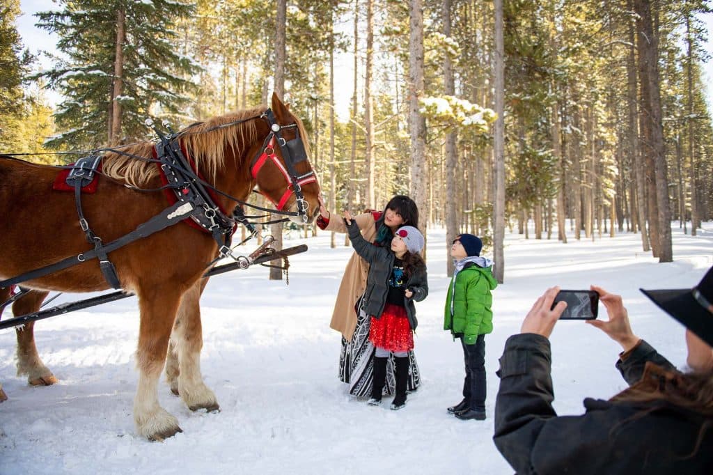 A family petting the sleigh ride horse