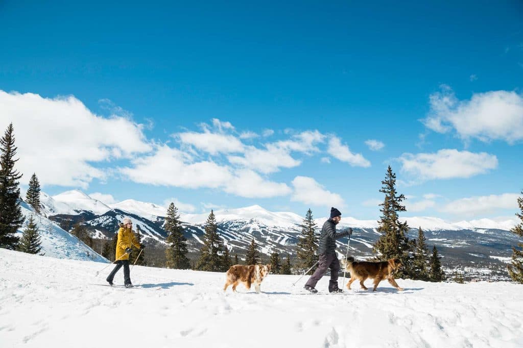 Family cross country skiing with dogs in Breckenridge