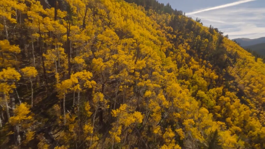 5 Summer Activities To Continue Into Fall
