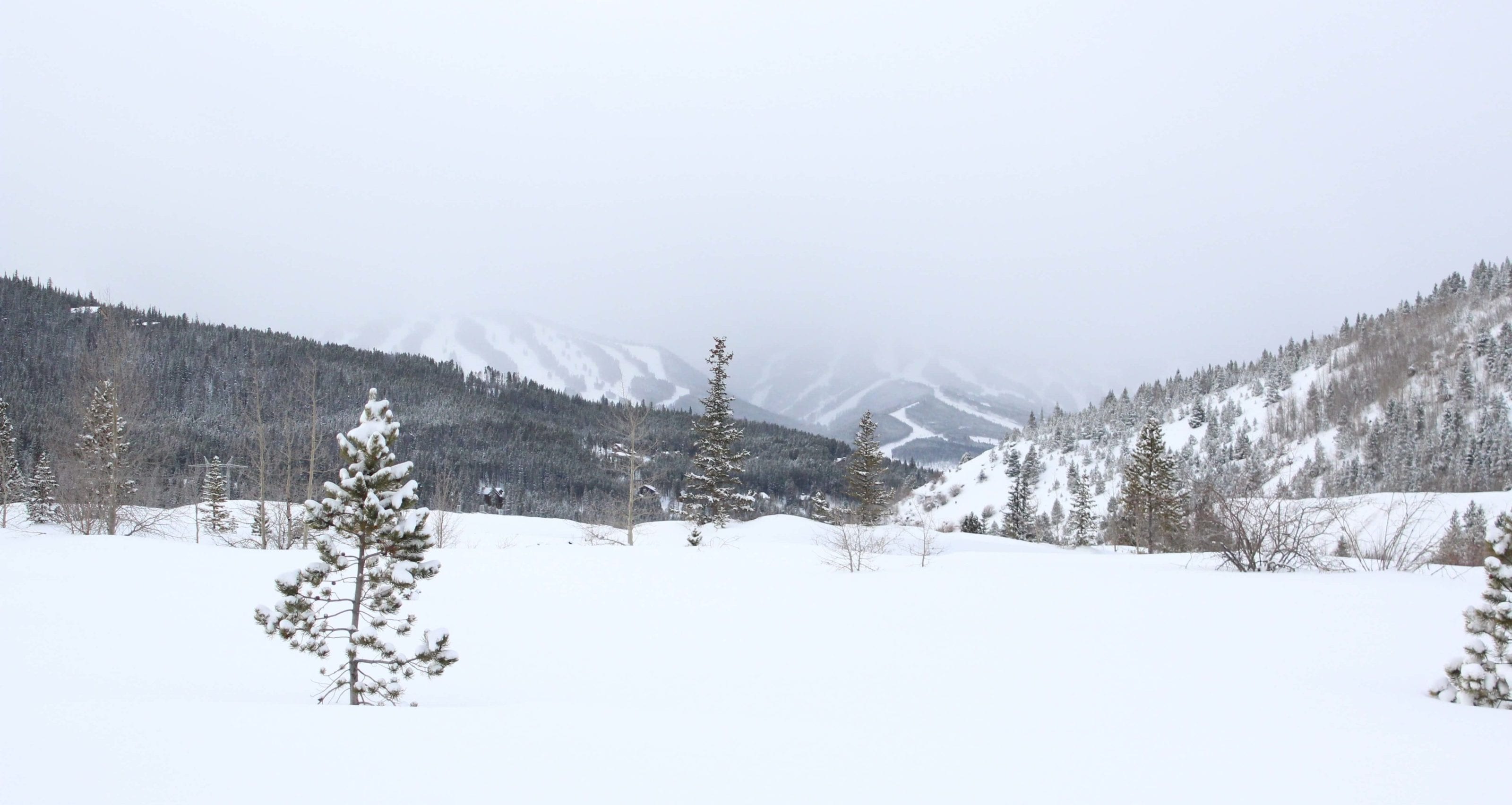 Views from the B&B trail in Breckenridge on a snowy day.