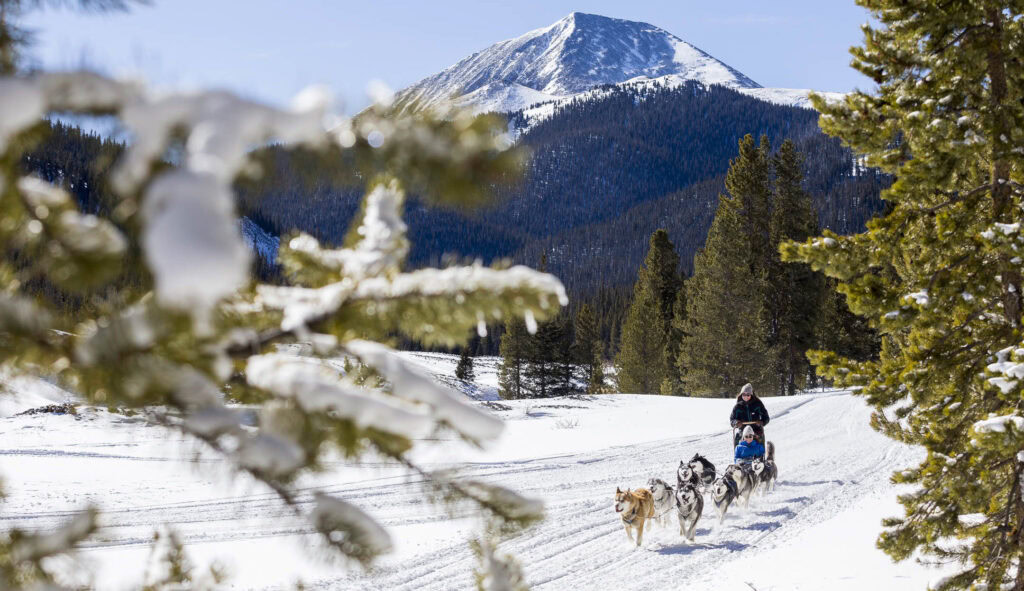 Dogsledding at Goodtimes Breckenridge