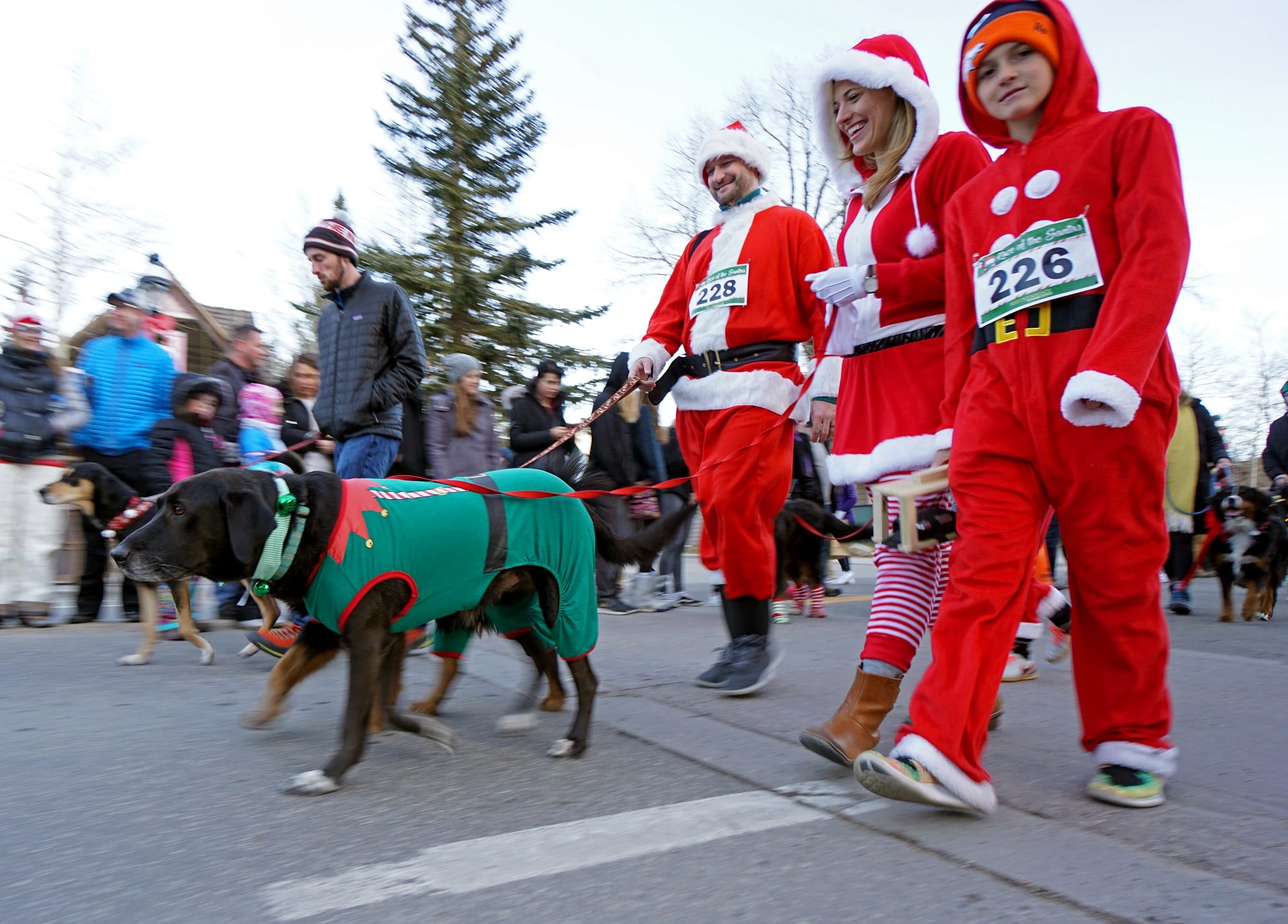 Holiday Dog Parade Breckenridge