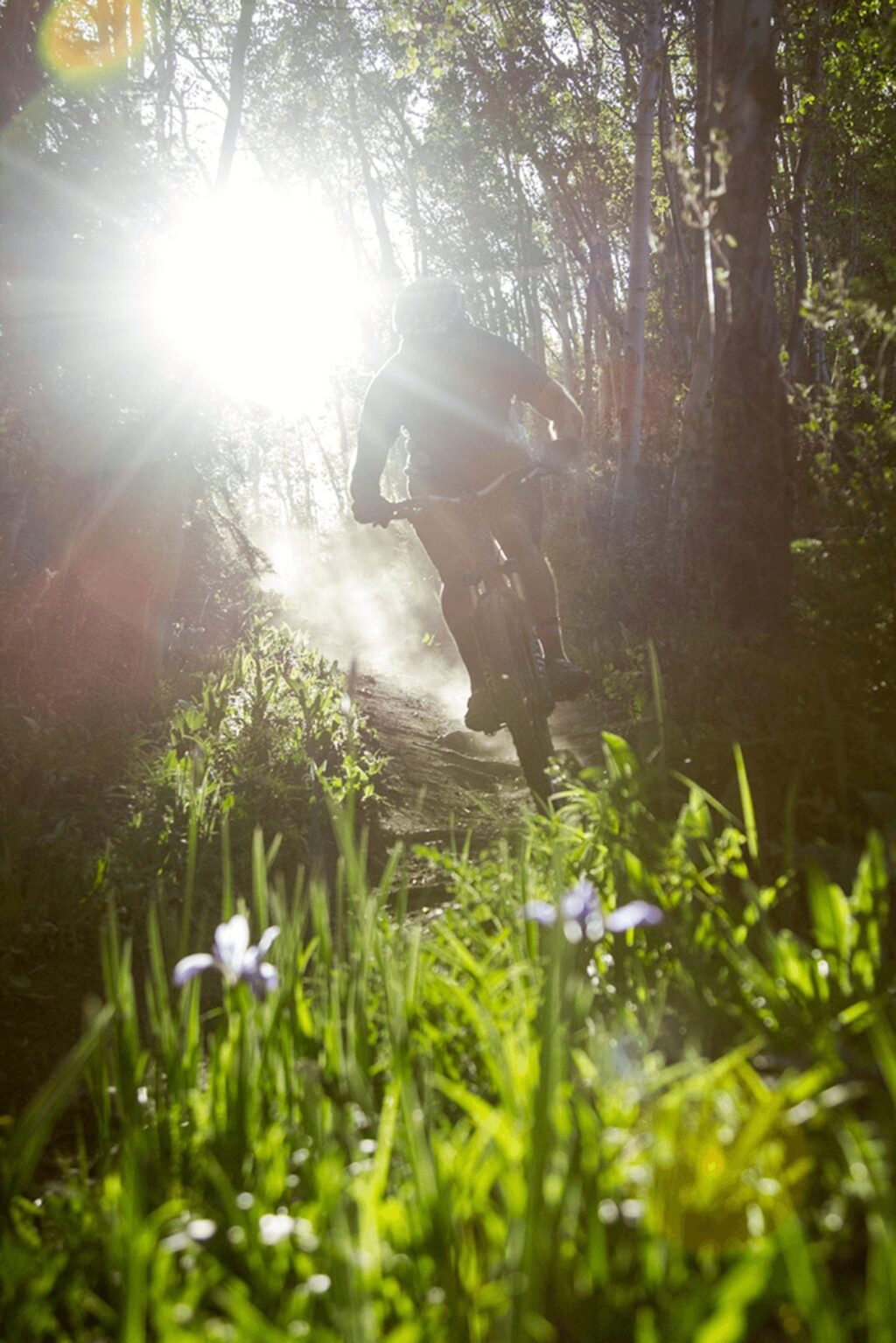 Mountain Biking Through the Woods in Breckenridge