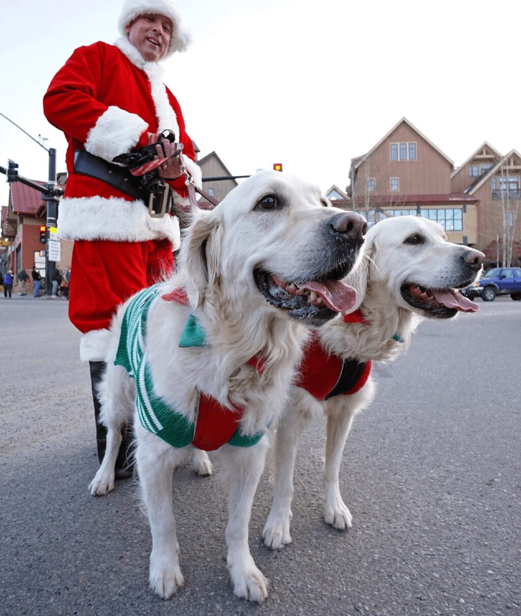 Santa with dogs in costumes during Breckenridge's Race of the Santas