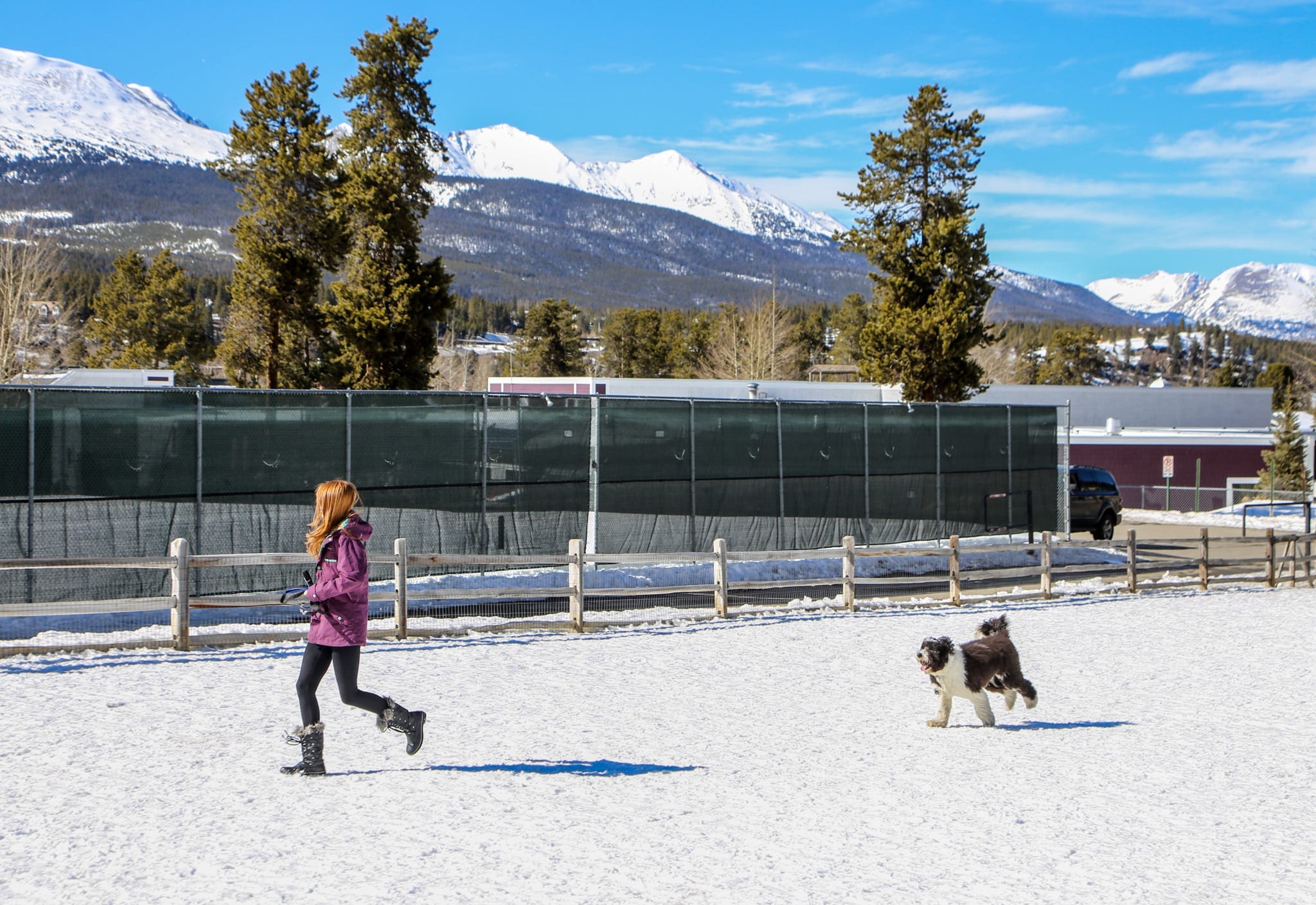 Carter Park is the definition of dog friendly Breckenridge.
