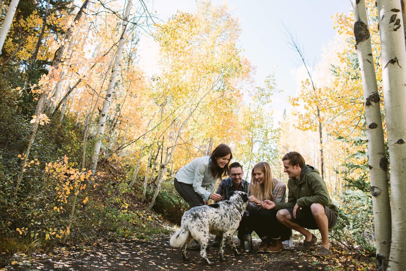 Group of young adults hiking with a dog in Fall in Breckenridge.