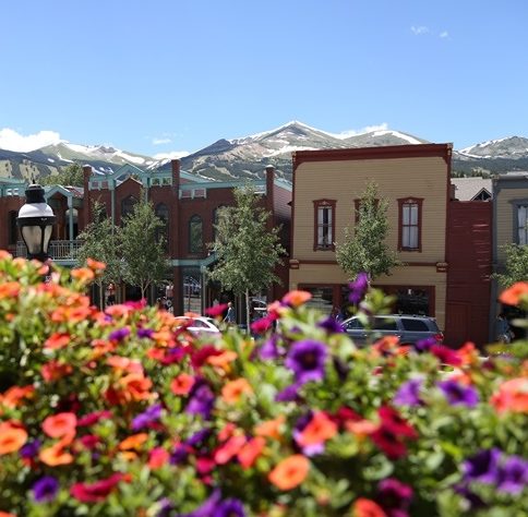 flowers and stores in Breckenridge