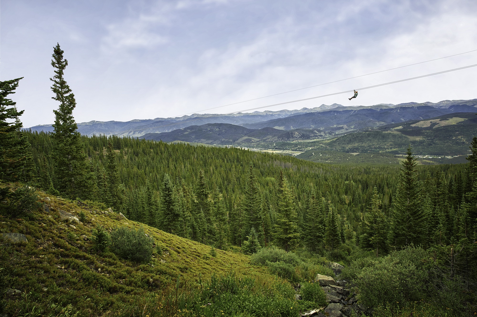 Epic Discovery zipline summer