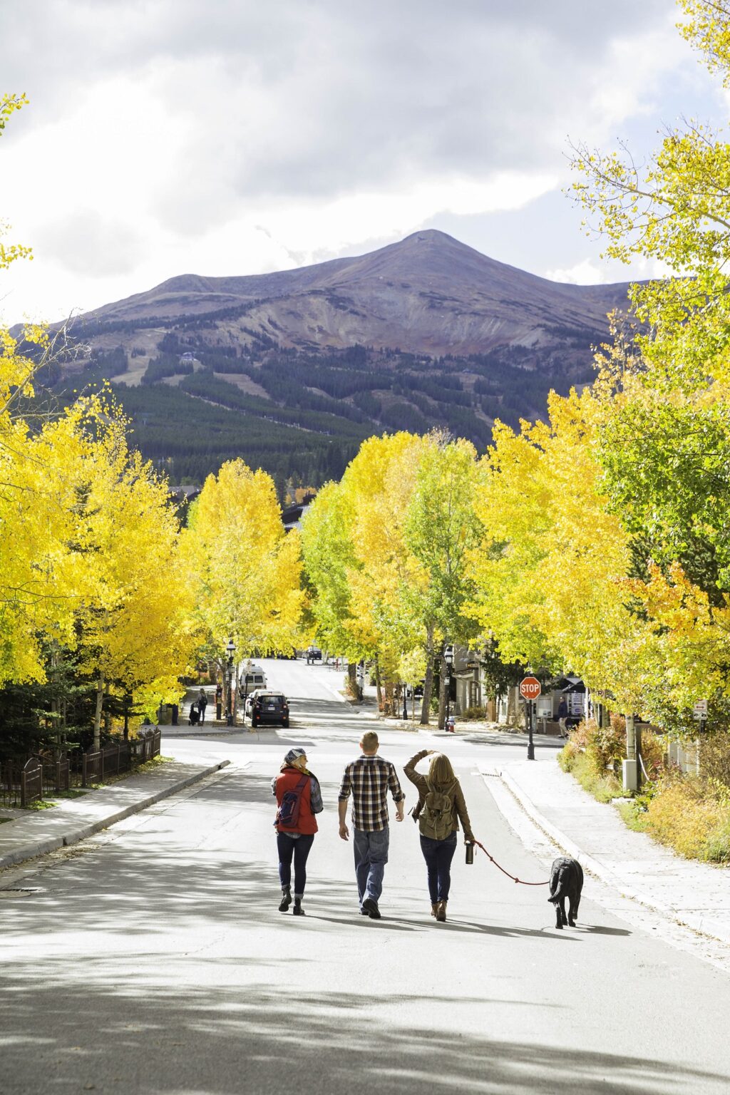 A group of friends walking their dog in downtown Breck