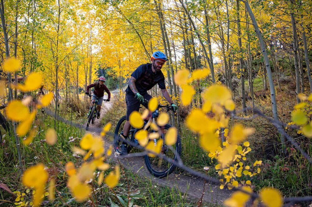mountain bikers on a trail