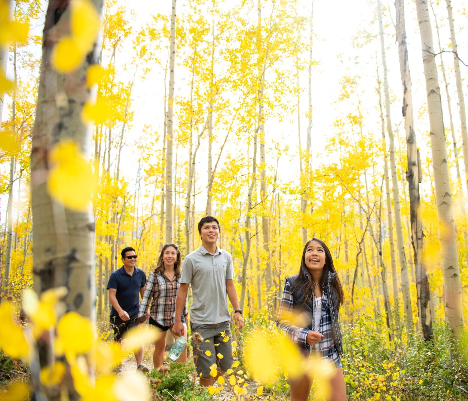 A group of people walking through a forest