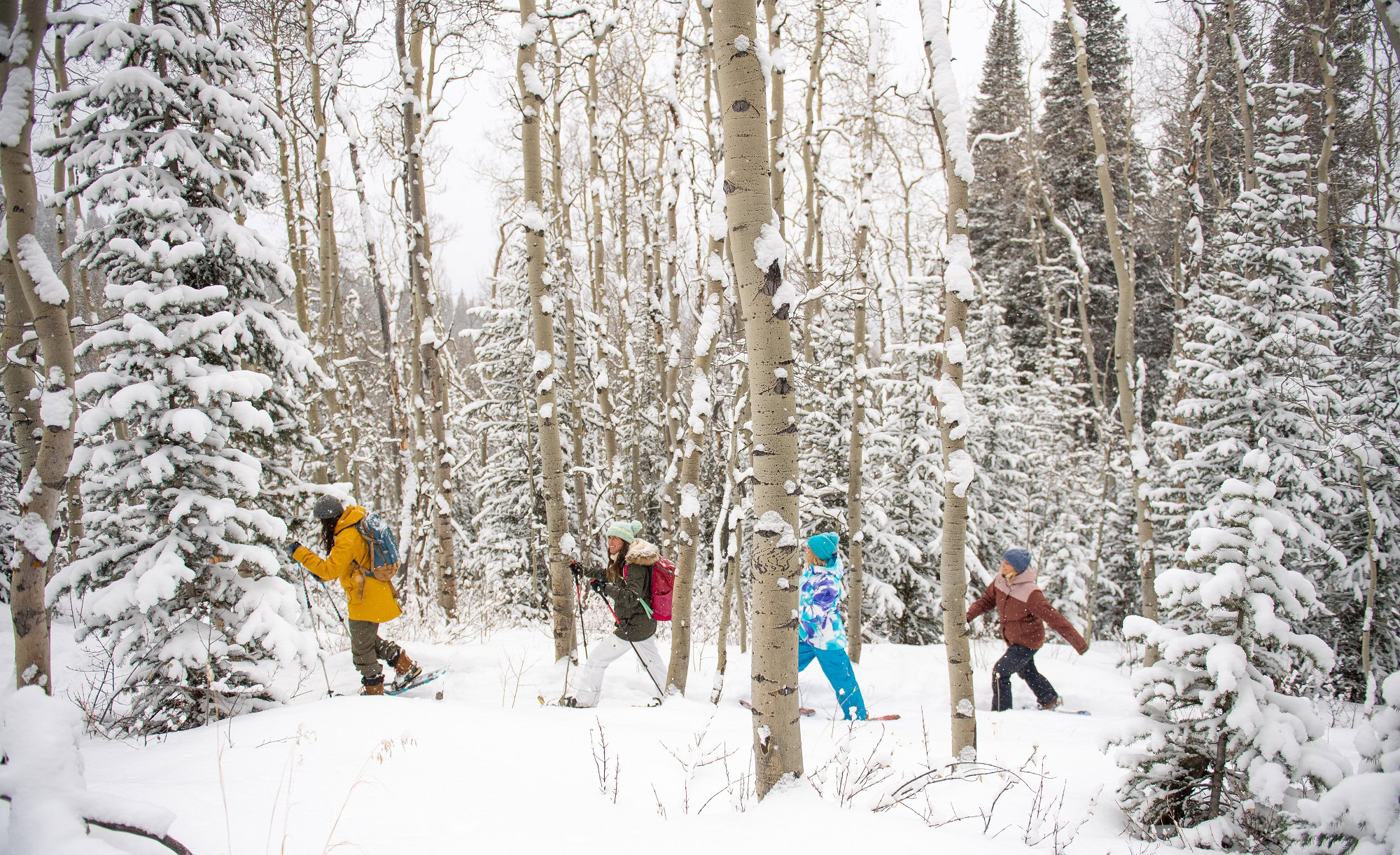 group enjoying a hike in the snow