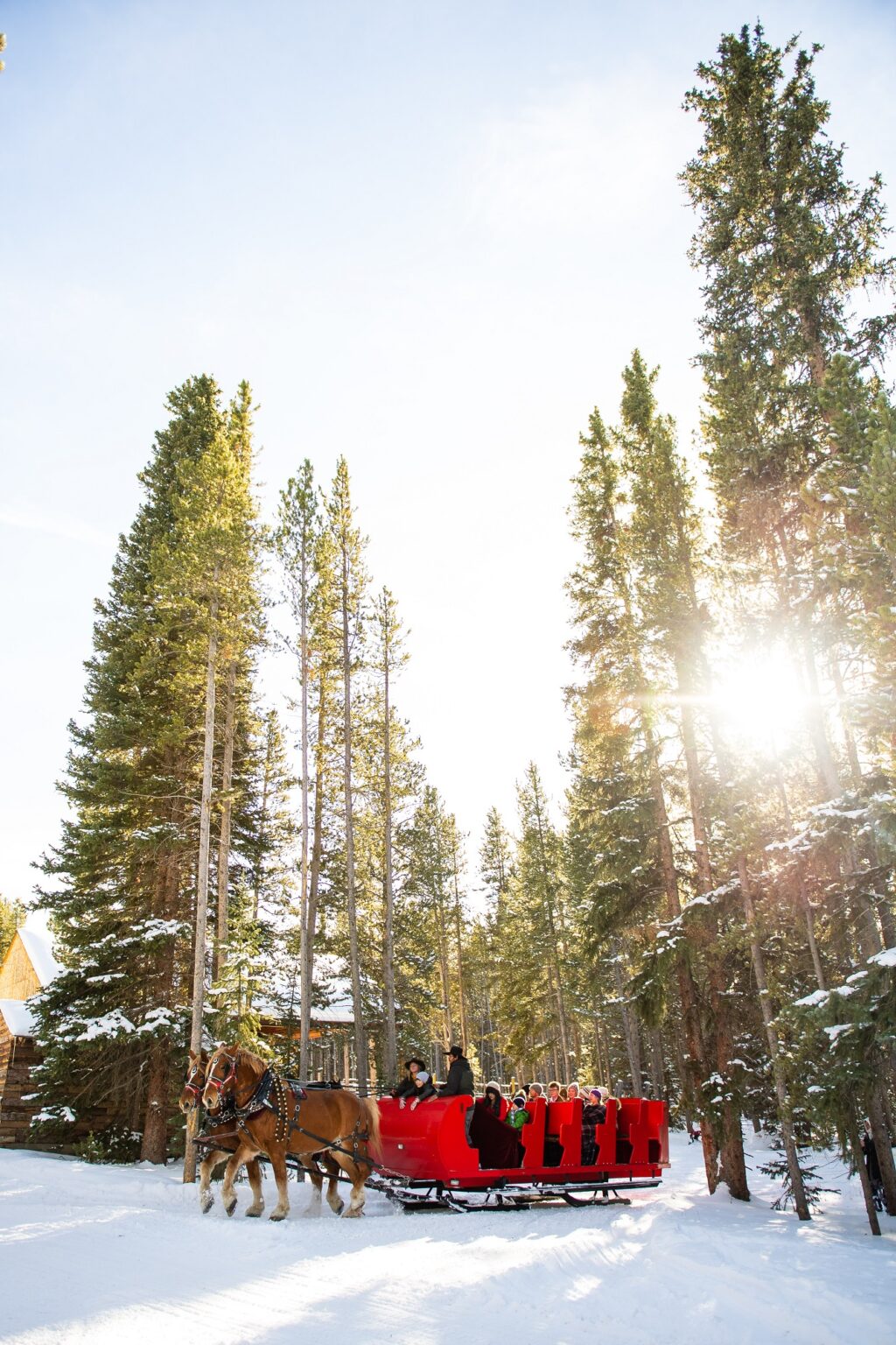 two horse open sleigh with a group of people