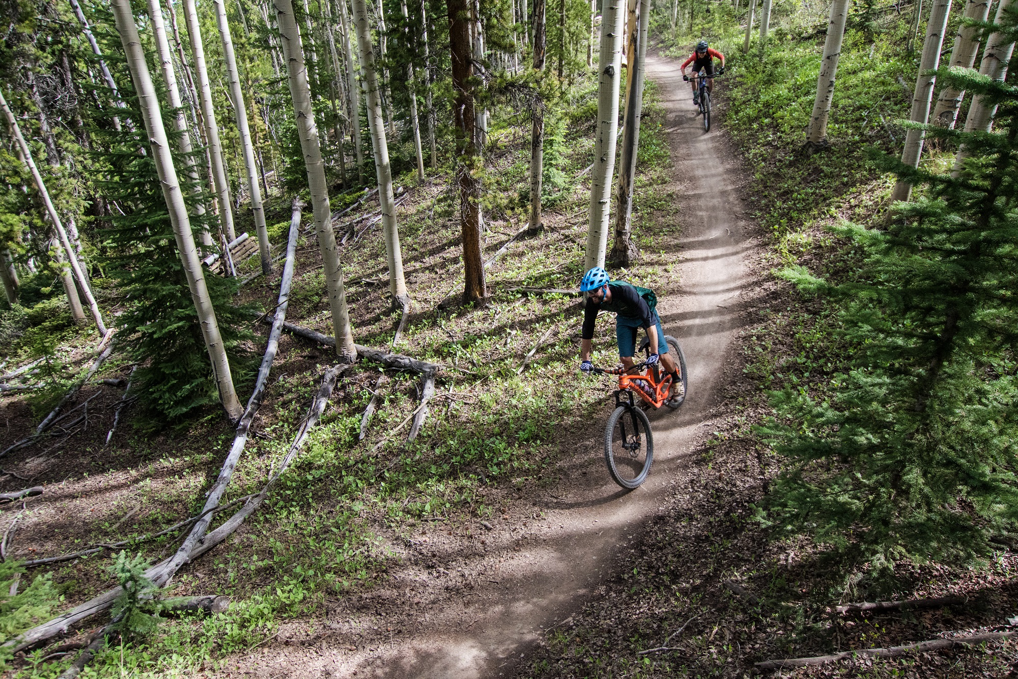Mountain biking through trees in Breckenridge summer