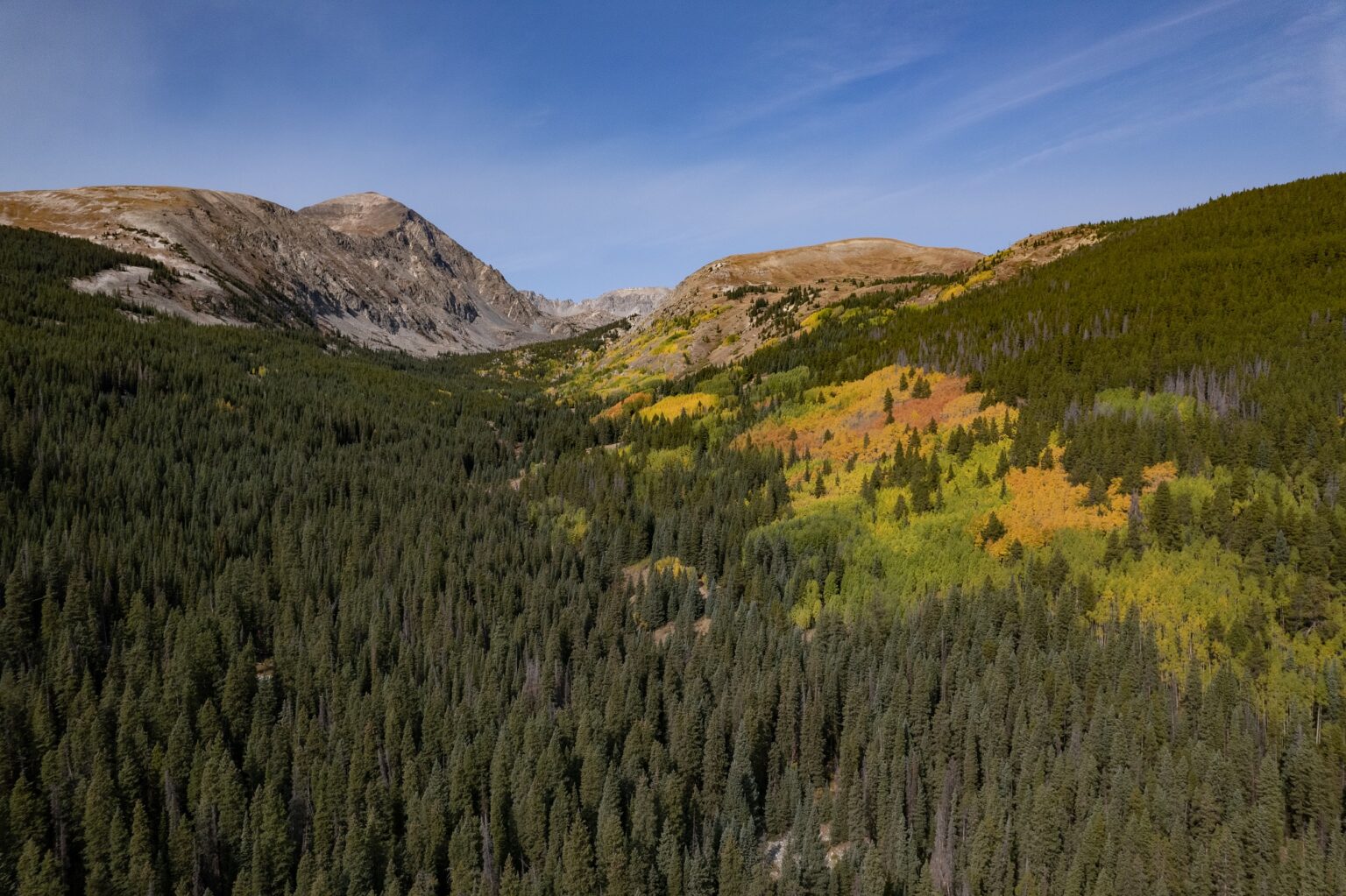 valley between mountains with pine trees