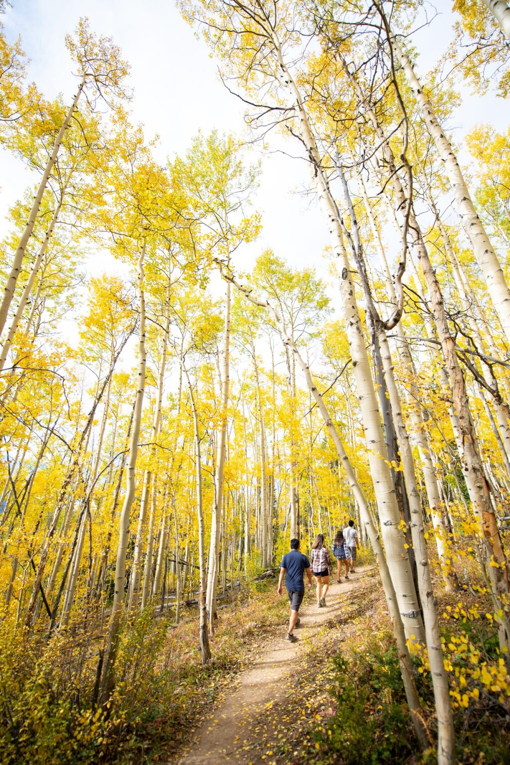Autumn Adventures in Breckenridge
